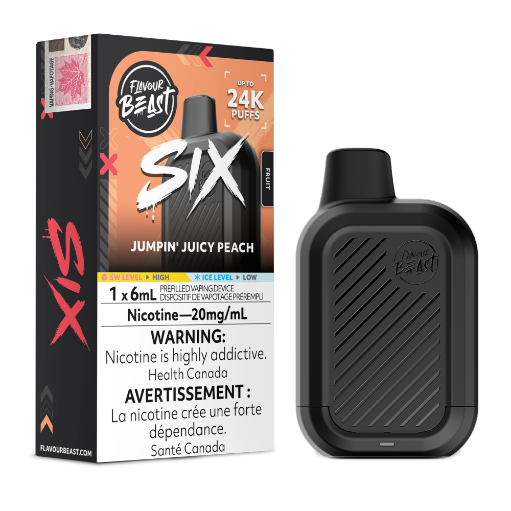 Flavour Beast Six  24k puffs 6ML Disposable Vape